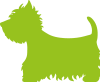 Donate and Help Westies